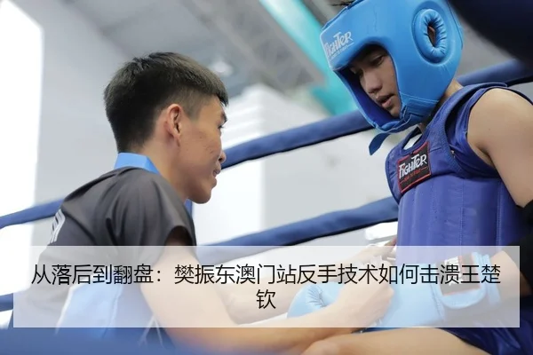 cong-luo-hou-dao-fan-pan-fan-zhen-dong-ao-men-zhan-fan-shou-ji-shu-ru-he-ji-kui-wang-chu-qin-2-460.jpg